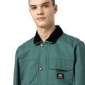 A22---dickies---DK0A4XARLVERDE_2_P.JPG