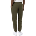 A22---dickies---IMBLK1VERDE_1_P.JPG