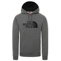 A22---the north face---NF00AHJYGRIGIO.JPG