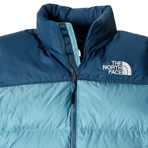 A22---the north face---NF0A3C8DCELESTE_1_P.JPG