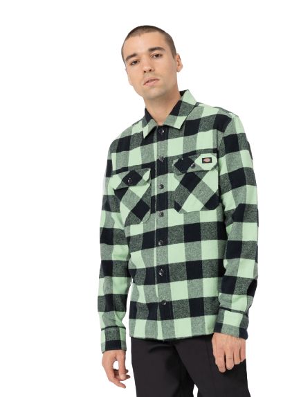 A23---dickies---DZRDX1VERDE.JPG