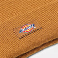 A24---dickies---DK0A4X7KBDUCK_1_P.JPG