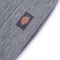 A24---dickies---DK0A4X7KGREY M_1_P.JPG