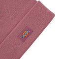 A24---dickies---DK0A4X7KMAUVE_1_P.JPG