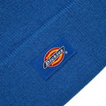 A24---dickies---DK0A4X7KTSEA_1_P.JPG