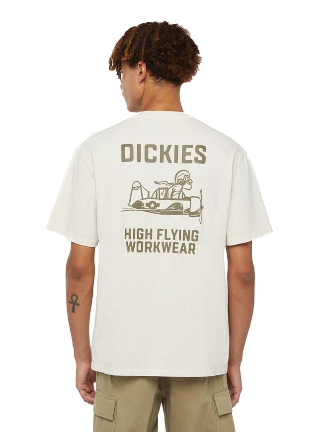 A24---dickies---DK0A863ABEIGE.JPG