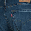 P21---levis---085130800_2_P.JPG