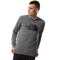 P23---the north face---NF0A4T1EDGRIGIO_2_P.JPG