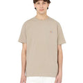 P24---dickies---DK0A4XDBBEIGE.JPG