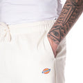 P24---dickies---DK0A4Y83BIANCO_3_P.JPG