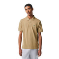 P24---lacoste---TS1212NOCCIOLA.JPG