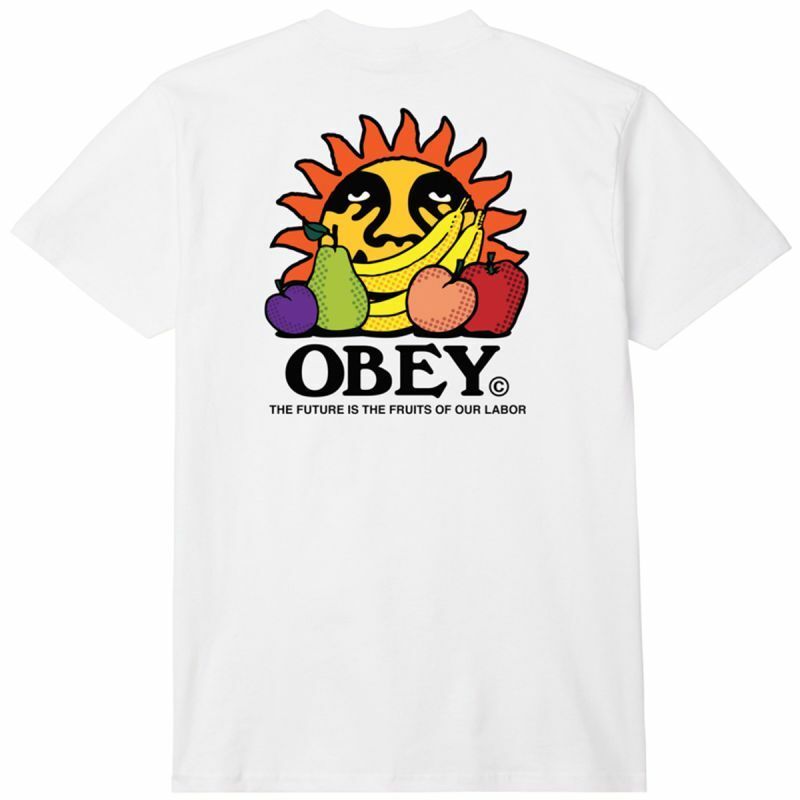 P24---obey---165263698BIANCO.JPG