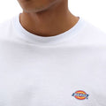 P25---dickies---DK0A4XDBBIANCO_2_P.JPG